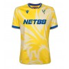 Crystal Palace Auswärtstrikot 2024-25 Kurzarm